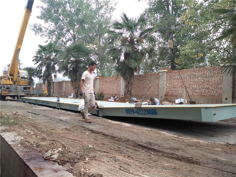 1572251296139031.jpg mmexport1568945879143.jpg