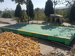 洛陽(yáng)市汝陽(yáng)縣劉店鄉(xiāng)滕嶺村糧食合作社30噸地磅